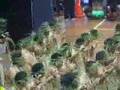 whitetoke