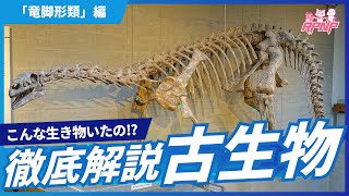 【古生物学】RPNP古生物学ニュース「二足？四足？初期竜脚形類の驚きの生態に迫る！」 #恐竜 #化石 #解説