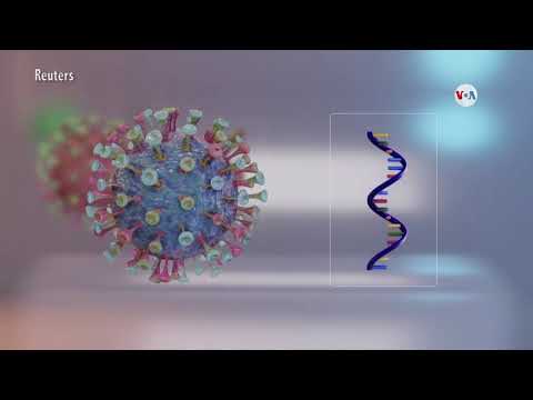 El coronavirus divide el mundo entre reaperturas y nuevos bloqueos