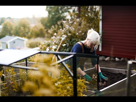 Sensommar i trädgården