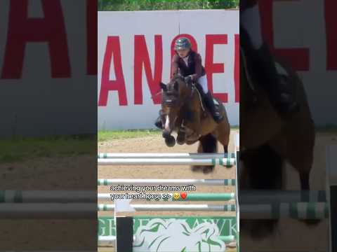 ❤️❤️❤️❤️ #equestrianjourney #horsecare #equestrian #horselove #love #showjumping
