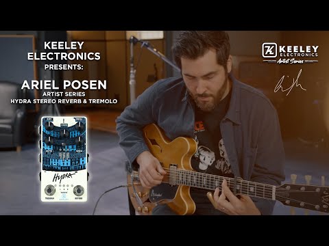 Keeley Electronics Presents: Artist Series Ariel Posen HYDRA Stereo Reverb & Tremolo - Demo