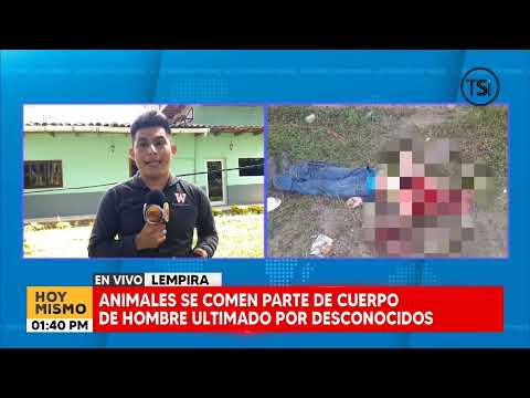 Animales se comen parte del cuerpo de una persona muerta en San Miguelito, Intibucá