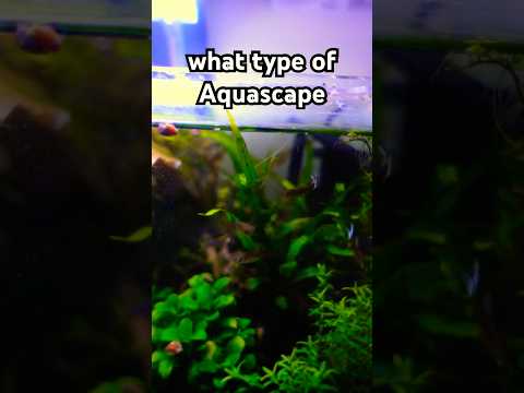 Unboxing Plants for my New Aquascape!!! 🌱 💧  