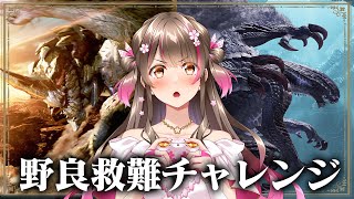 超きついと話題の★9野良救難へ！アプデ後2週間経った今、難易度はどうなっているのか？【モンハンワイルズ】