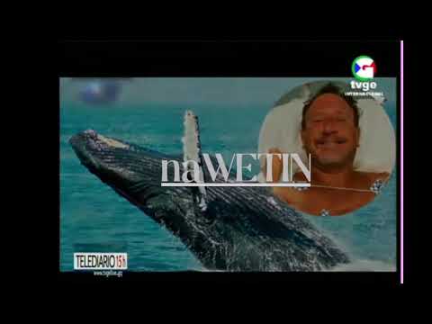 Telediario de TVGE | Devorado por una ballena, vive, día 13 de junio del 2021 (ofrecido por naWETIN)