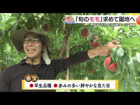 【媛さんぽ】内子町で旬フルーツ＆冷スイーツを満喫
