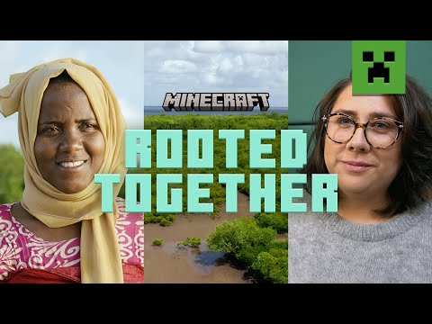 Minecraft Mangroves: Making an Impact