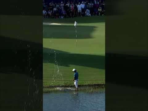 Akshay Bhatia from the WATER 💧🏌️