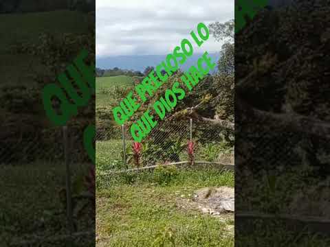 #la #onrra y la #gloria sea para Dios