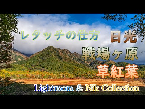 日光・戦場ヶ原の草紅葉を絡めて印象的に仕上げる