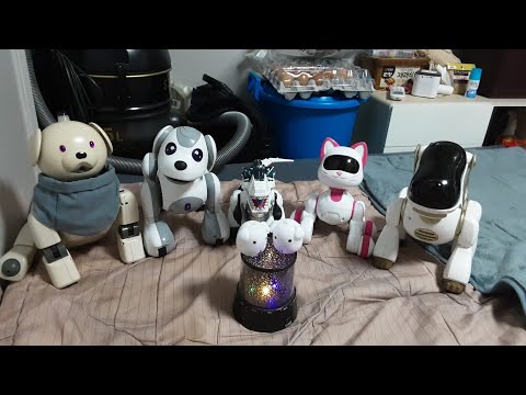 My robots are all gathered 😍