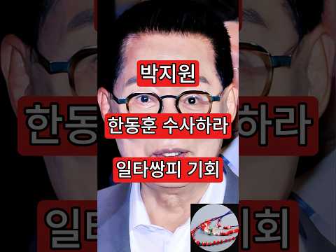 <strong>박지원</strong>, 한동훈 수사하라. 일타쌍피 기회