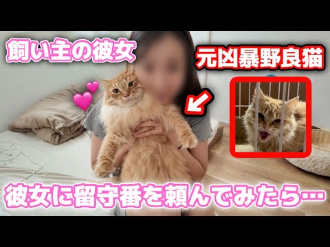 彼女に初めて新居でお留守番を頼んだら猫が見た事ない姿に…