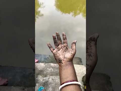 Introducing the "VitaWear SmartBand," a next-generation wearable gadget