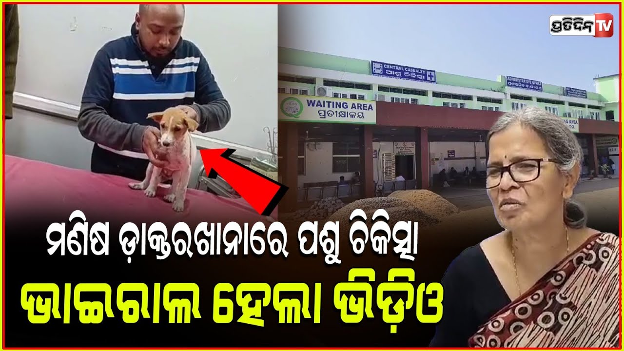 ମଣିଷ ଡାକ୍ତର ଖାନାରେ, ଆହତ କୁକୁର ଚିକିତ୍ସା କଲେ ଯୁବକ!Dog Treatment in bhima bhoi Casualty Ward, balangir.