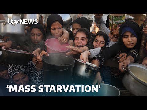 'Mass starvation' spreading across Gaza and people 'wasting away', 100 aid agencies warn | ITV News