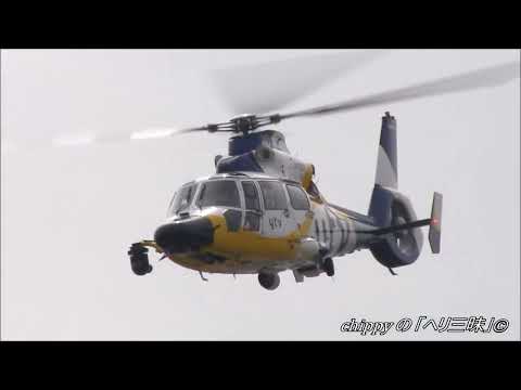 AIRBUS AS365N3 Dauphin (c/n:7059) Takeoff YTV 読売TV