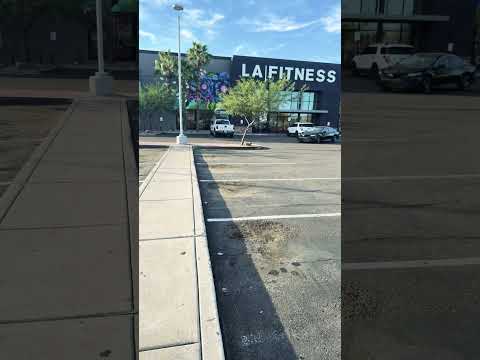 Your Life Is a Loop: Gym, Walmart, Laundry, Repeat