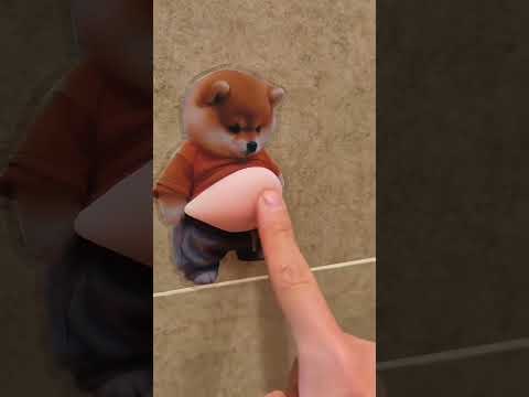 Chubby Shiba <strong>Silicone</strong> Sticker Protector ( # 3102 )