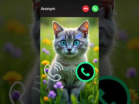 Cute Cat Calling 😮 #ringtone #cat #gato #babygirl #youtubeshorts #catlovers #viralvideo #mi #shorts