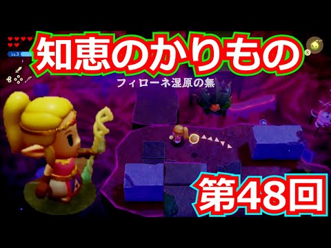 [ゼルダの伝説]知恵のかりもの 第48回/「ごちそうどころ」に入った後、「フィローネの無」に行ってみた。