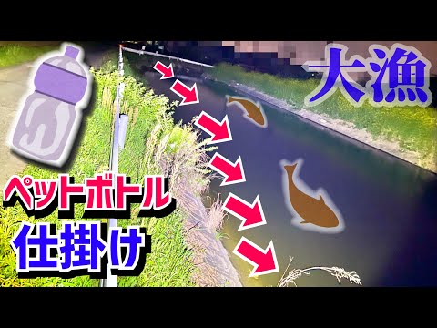 ドブ川に大量のペットボトル仕掛けで大型生物が次々と…！！