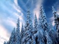 Гр Примус Новогодняя Сказка Гр Примус Новогодняя Сказка
