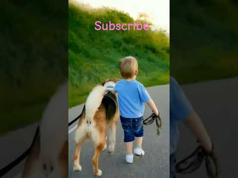 Baby love Dog.#doglove.#dog.