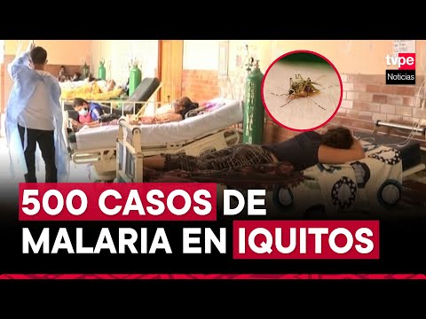 Iquitos: detectan más de 500 casos de malaria