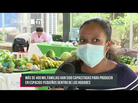 Resultados exitosos del programa Patio Saludable en Nicaragua