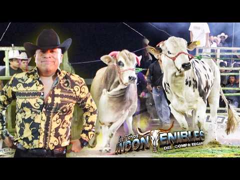 DEBUTANDO UN INCONTENIBLE!!! LLEGÓ EL MÚSICO QUE SE HIZO GANADERO A SAN AGUSTÍN OAPAN