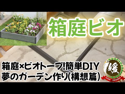 メダカの箱庭作り〜カインズの箱庭ガーデンフレーム（構想編）～