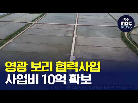 [광주MBC AI뉴스] 영광군, <strong>보리</strong> 생산·가공 협력사업 선정…10억 원 확보(뉴스데스크 2026.10.16 광주MBC)