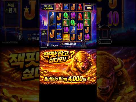 잭팟 잡고 싶다면? Buffalo King 4,000배 맥스윈