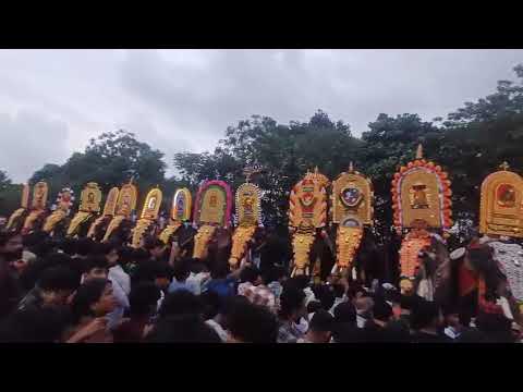 അടുപ്പുട്ടി പള്ളിപെരുന്നാളിൽ തലയെടുപോടെ നിൽക്കുന്ന ആനകൾ 😱😱😱#viral #viralvideo #kerala