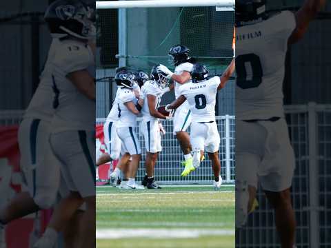 4Qの勝ち越しタッチダウン！ #アメフト