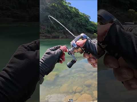 fishingตกปลาbassfishing