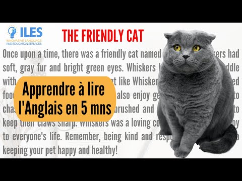 Lecture en Anglais : Le Chat Sympathique WHISKERS - Texte Traduit en Français