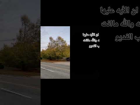 انتظر ١٦ثانيه فقط