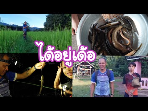 ไปหาปลากับคุณพ่อครั้งนี้(ได้อย ไปหาปลากับคุณพ่อครั้งนี้(ได้อย