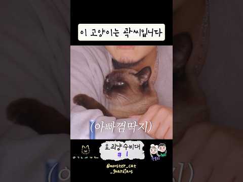 열받는거 하나 <strong>발견</strong>