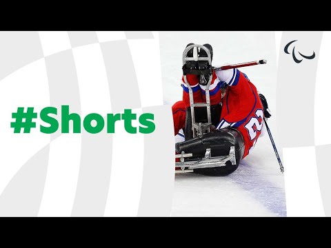 Athletics 🎽 A very calm and gentle sport 😇 🤣 #ParaIceHockey #SledgeHockey #Shorts