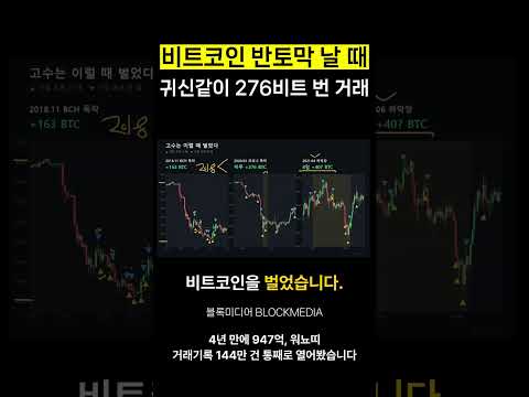 비트코인 반토막 날 때 귀신같이 276비트 번 거래