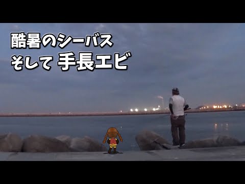 酷暑のシーバス釣りそして手長エビ