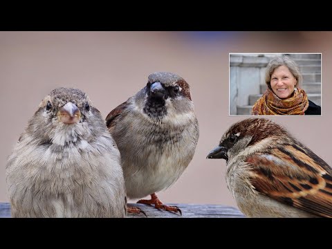 How to Facilitate Healthy & Respectful Conversations