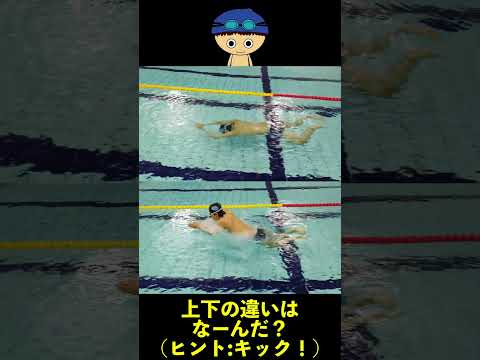 【平泳ぎクイズ】上下で何が違うでしょう #swimming #swimmin #swim #shorts