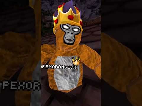 #gorillatag Join code apex #metaquest3s #vr Follow me!