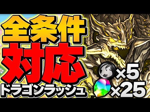 【共通編成】全敵対応&条件クリア全対応！アグリゲートで石25個&黒メダル5枚ゲット！超重力ドラゴンラッシュ！やらなきゃ損！【パズドラ】