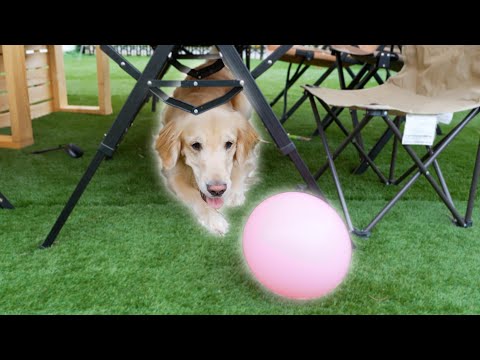 仕事中ずっとこの顔されてすすみませんww